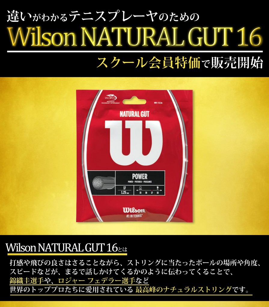 Wilson NATURAL GUT 16　ネット用